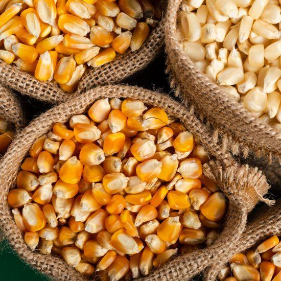 Los cereales y leguminosas protagonistas de las tendencias alimentarias veggie, flexivegetariano, fitness