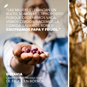 Octavia Hernández, productora de fríjol