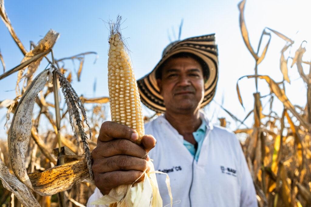 Fenalce, maíz, Valle de San Juan